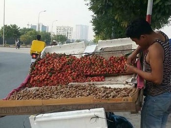 Dâu tây Trung Quốc mác Đà Lạt tràn ngập thủ đô